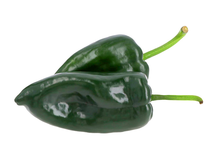 Chile poblano kg