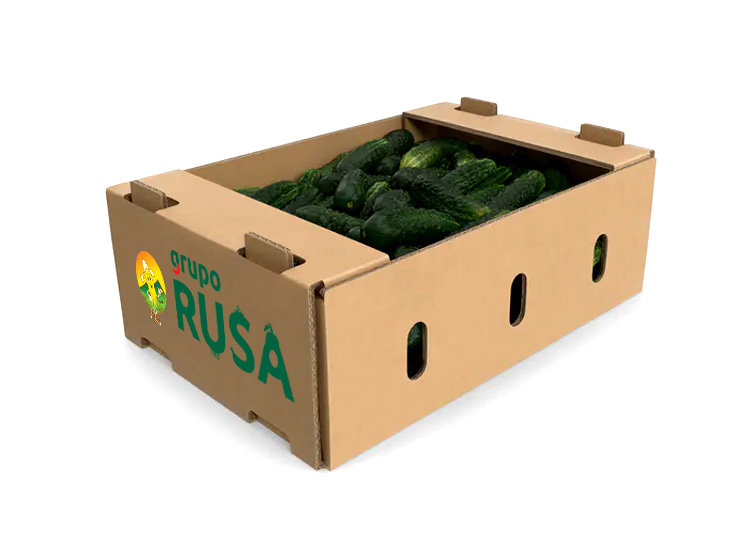 Pepino caja