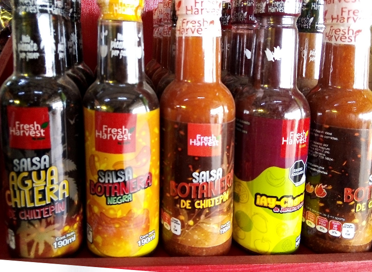 Salsas fresh harvest