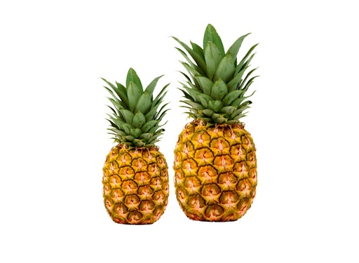 Piña Esmeralda kg