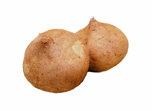 Jicama kg