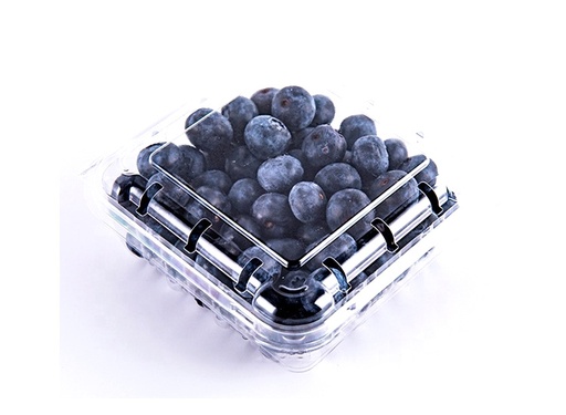 Blueberry  pz